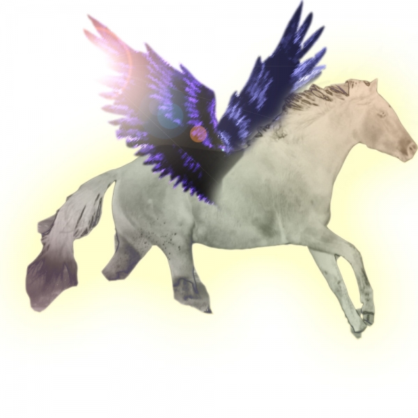 Creation of Pegasus: Step 2